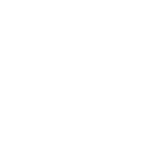Professionalism Icon